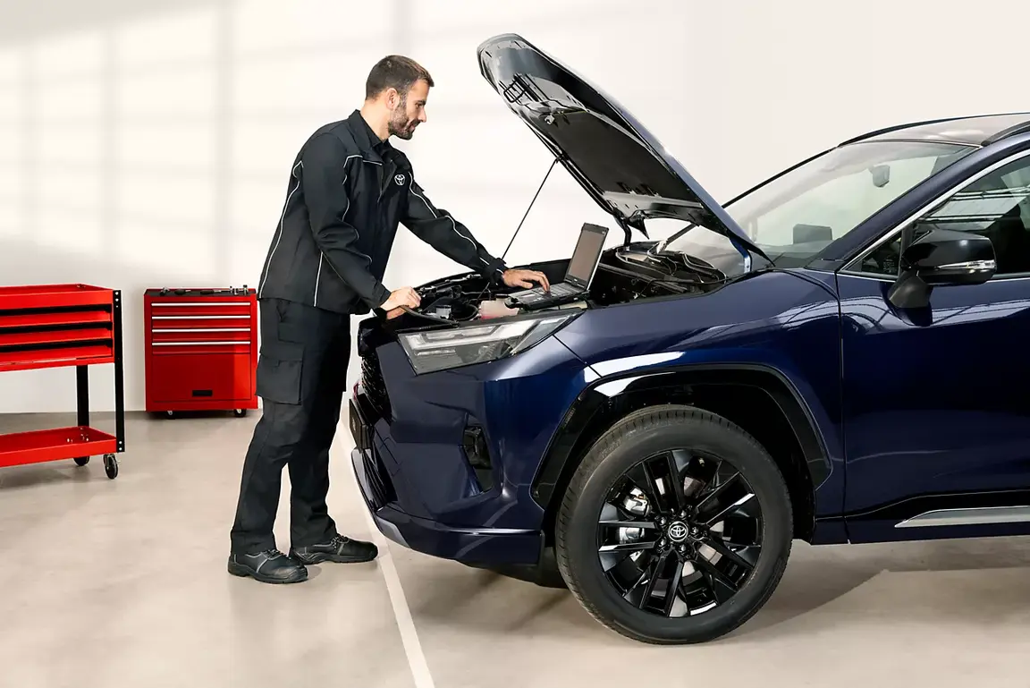 AMSERV 5+ TOYOTA HOOLDUS