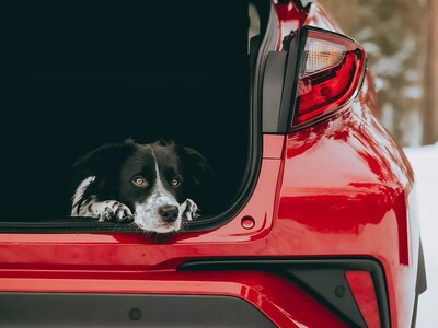 TOYOTA LISAVARUSTUS KOERAOMANIKULE